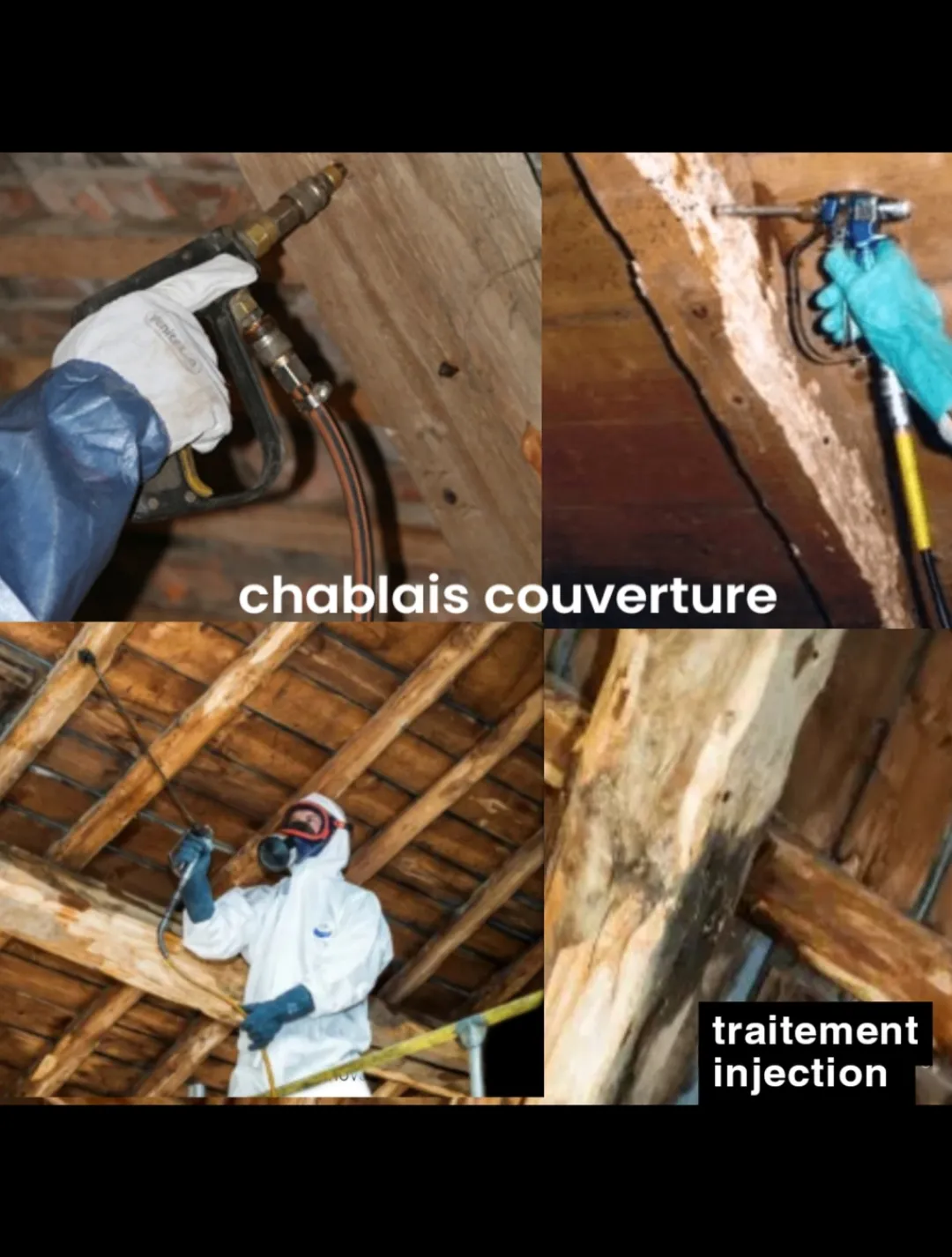Traitement ciblé de bois présentant des traces de parasites